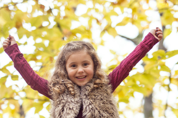Adorable little girl in a autumn forest - Photo, Image