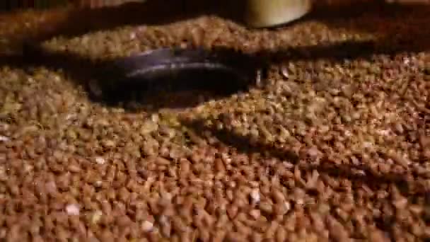 peanut process industry brazil - Кадры, видео