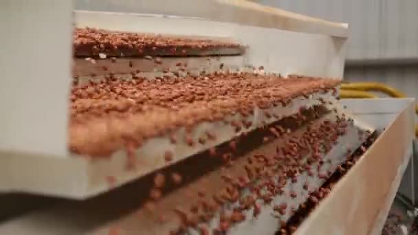 industria de proceso de cacahuete Brasil
 - Imágenes, Vídeo