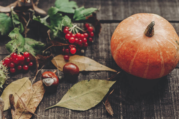 pumpkin, leaves, chestnuts and berries - Photo, Image