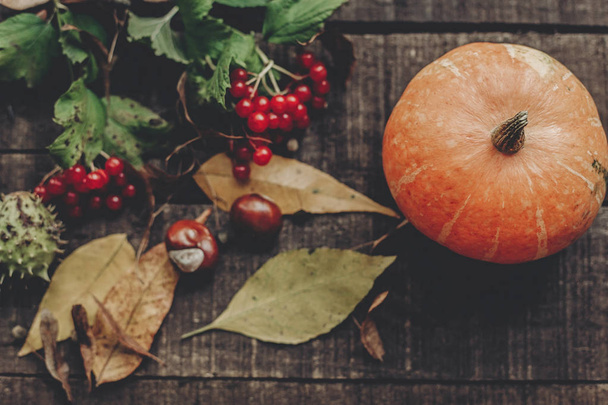 pumpkin, leaves, chestnuts and berries - Photo, Image