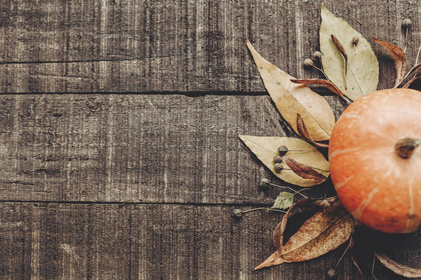 pumpkin, leaves and berries - Photo, Image
