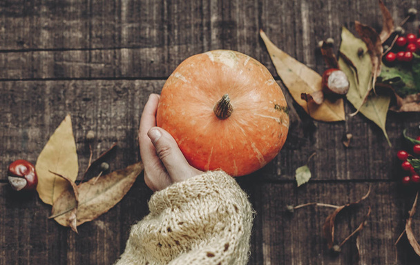 hand in sweater touching pumpkin - Φωτογραφία, εικόνα