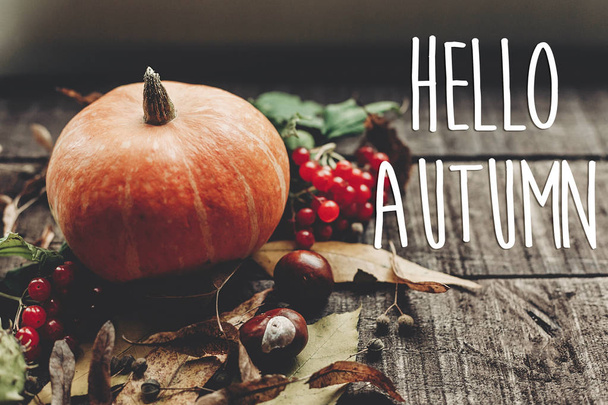 hello autumn text - Zdjęcie, obraz