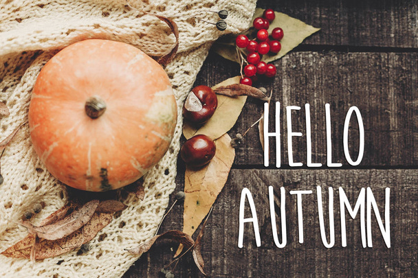 hello autumn text - Foto, afbeelding