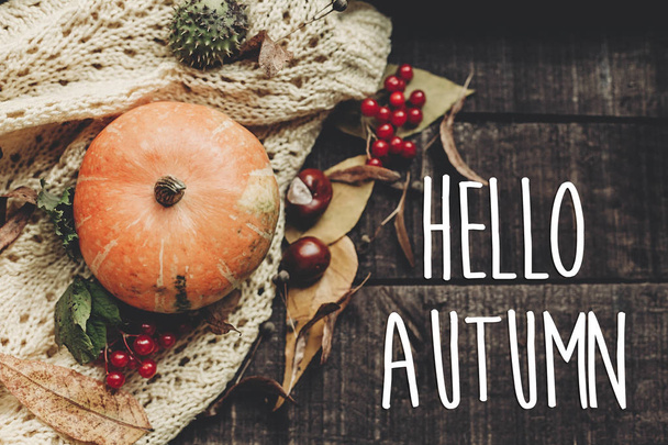 hello autumn text - 写真・画像