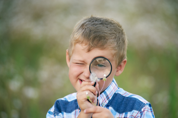 Poika katselee kasvia suurennuslasin läpi
 - Valokuva, kuva