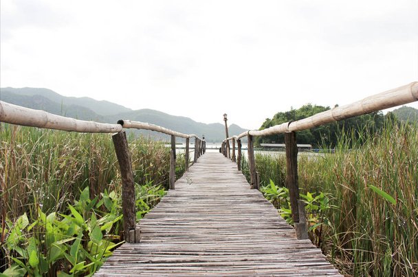 bamboo bridge walkway to lake on green field - Zdjęcie, obraz