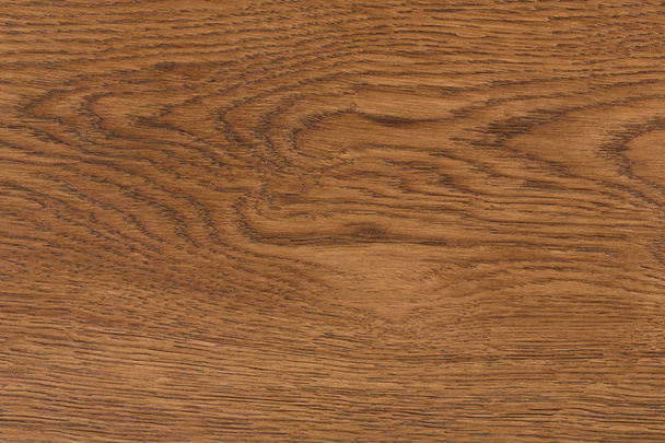 Macro shot of oak texture. - Foto, Bild