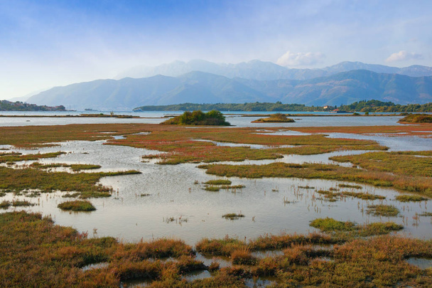 Вид на болотистую местность прибрежной части Которского залива - заповедник Фелла. Тиват, Черногория, осень
 - Фото, изображение