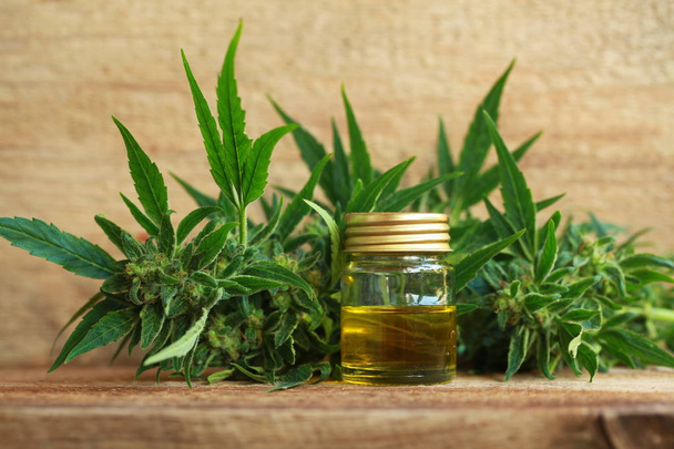 huile de cannabis et chanvre - Photo, image