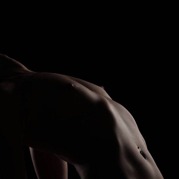 nude female in studio. body lighted contours isolated on black background. - Photo, image