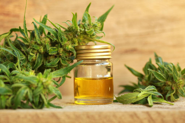 cannabis oil and hemp - Photo, Image