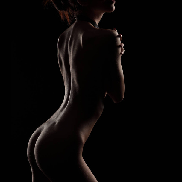 contours of naked female on dark background. Nude sensual woman perfect natural shape isolated on black - Foto, immagini
