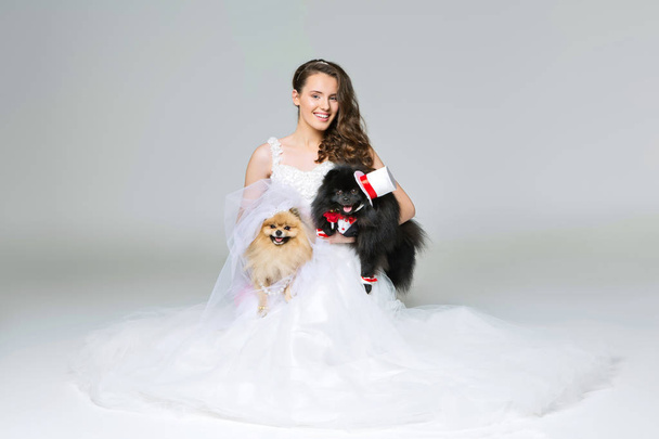 Braut hält Spitzhundepaar - Foto, Bild