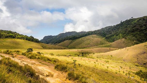 Landschaft Horton Plains Nationalpark in Sri Lanka - Foto, Bild