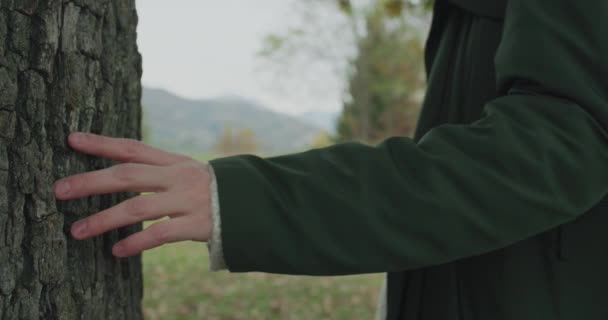 Detail on trunk and hands.Caucasian blond woman slomo walking toward fall woods touching tree.Following behind gimbal.Storytelling real young adult people alone in autumn forest.4k slow motion video - Filmagem, Vídeo
