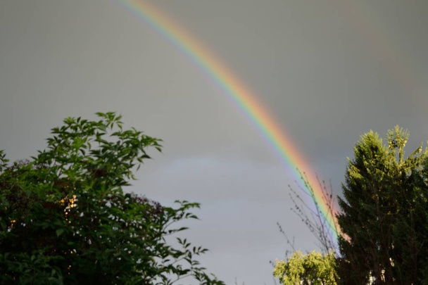 夏の明るい虹 - 写真・画像