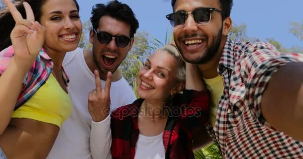 Mensen groep nemen Selfie foto op cel slimme telefoon gelukkig lachend, meng Race mannen en vrouwen - Video