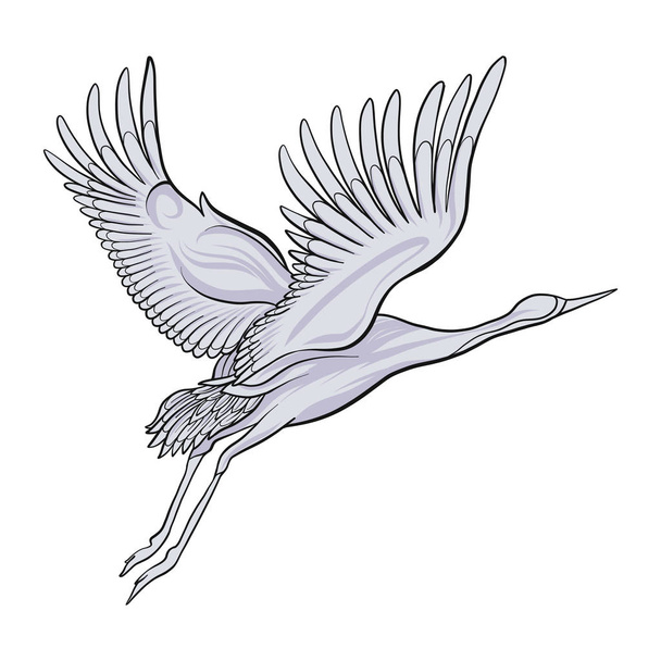 Japanese crane isolated drawing. Stock vector illustration. - Διάνυσμα, εικόνα