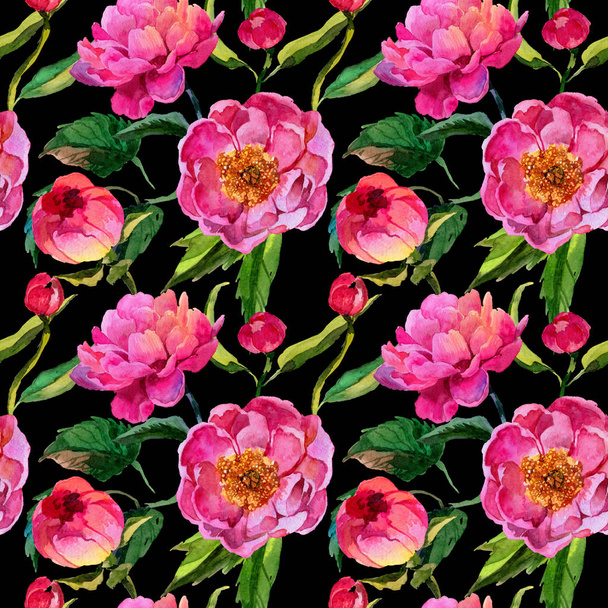 Vadvirág pünkösdi rózsa virág minta akvarell stílusú. - Fotó, kép