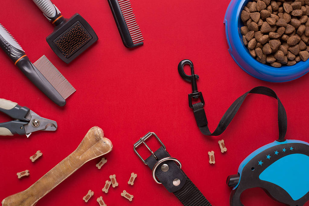 Halsband, Schüssel mit Futter, Leine, Delikatesse, Kämme und Bürsten für Hunde. isoliert auf rotem Hintergrund - Foto, Bild