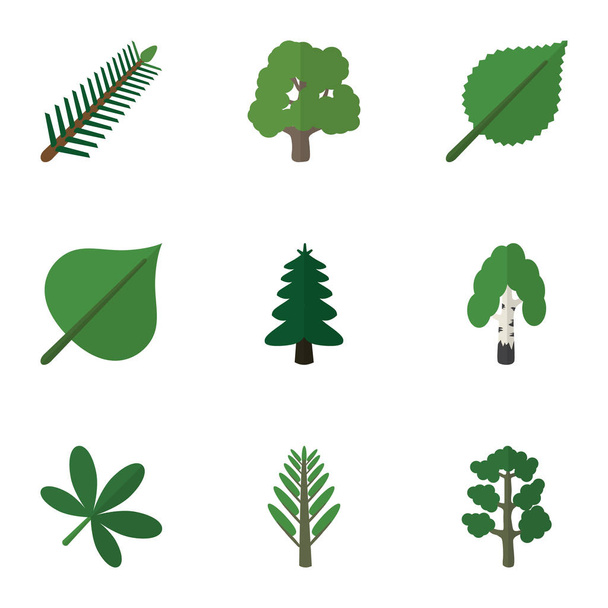 Flat Icon Ecology Set Of Forest, Maple, Linden And Other Vector Objects. Also Includes Willow, Foliage, Oaken Elements. - Wektor, obraz