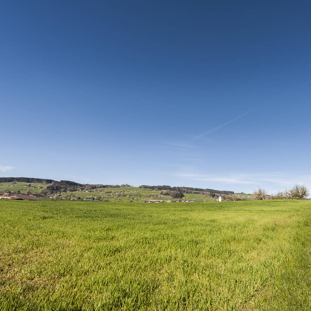 Szwajcarski krajobraz z łąki - Zdjęcie, obraz