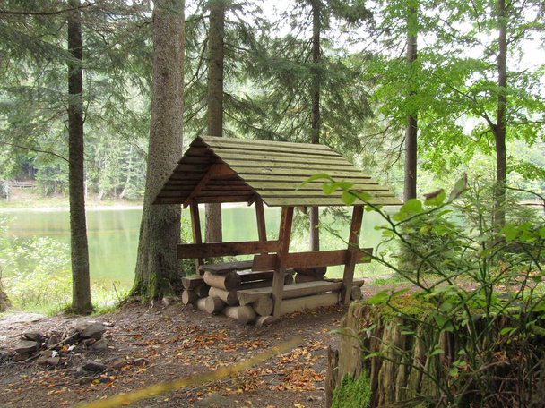 Pergolato di legno per riposo e picnic sulla riva di un lago forestale
 - Foto, immagini