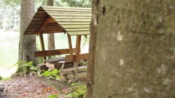 Drewniana altana dla odpoczynku i piknik na jeziorem lesie - Materiał filmowy, wideo