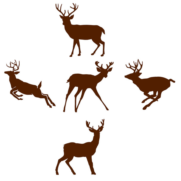 deer  silhouette set - Photo, Image