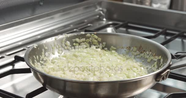 Lauch und Parmesan-Risotto kochen -Video - Filmmaterial, Video
