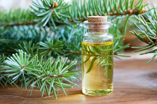 A bottle of spruce essential oil with fresh spruce twigs - Fotoğraf, Görsel