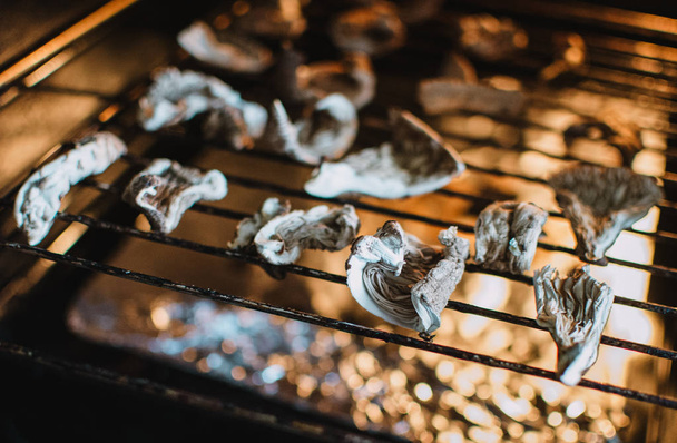 pieces of parasol mushroom  Macrolepiota procera in dry machine - Фото, изображение