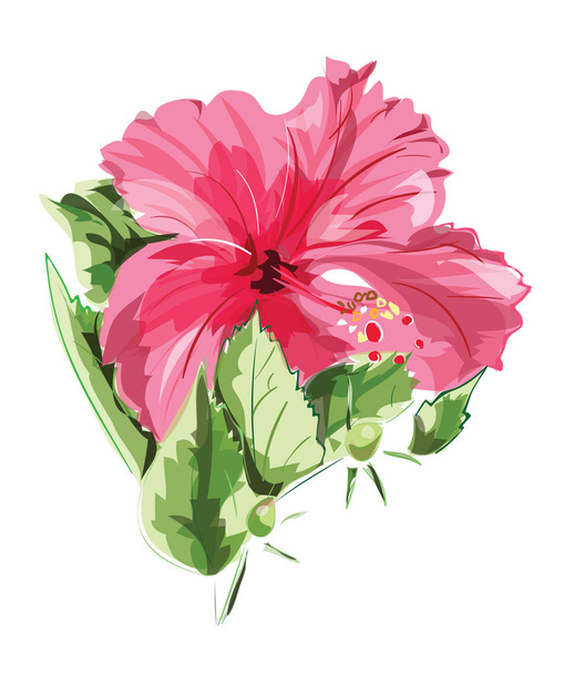 Red hibiscus flower. Vector illustration. - Vektor, obrázek