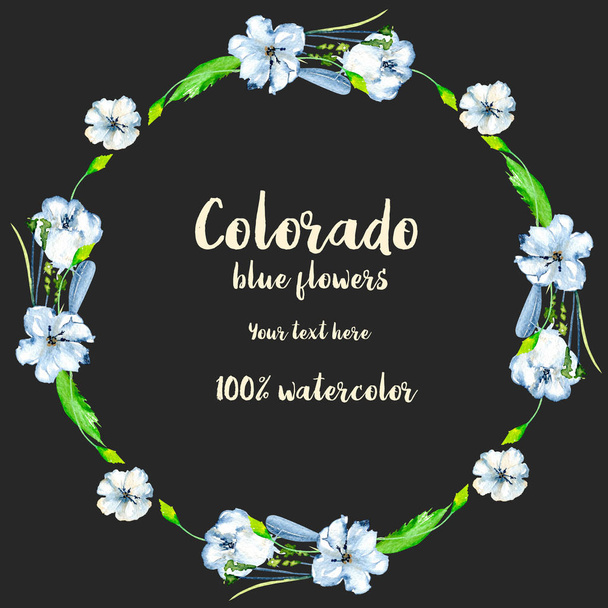 Çelenk, daire basit suluboya mavi kır çiçekleri ve yeşil yaprakları ile çerçeve - Fotoğraf, Görsel