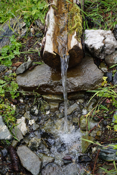 source d'eau dans la forêt
 - Photo, image