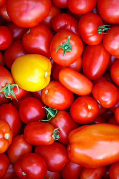 kuva hyvin tuoreista tomaateista - Valokuva, kuva