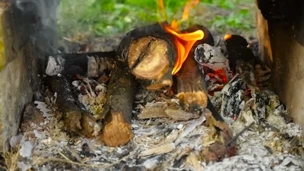 Brennholz verbrennt in Zeitlupe. Nahaufnahme - Filmmaterial, Video