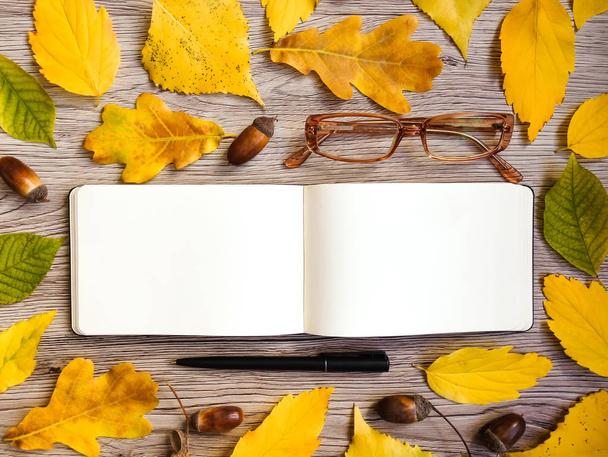 Closeup of sketchbook, glasses and pen, decorated with autumn yellow leaves and acorns. Top view, flat lay - Φωτογραφία, εικόνα