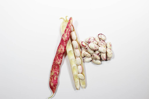 Roman Beans on isolated white background  - Фото, изображение