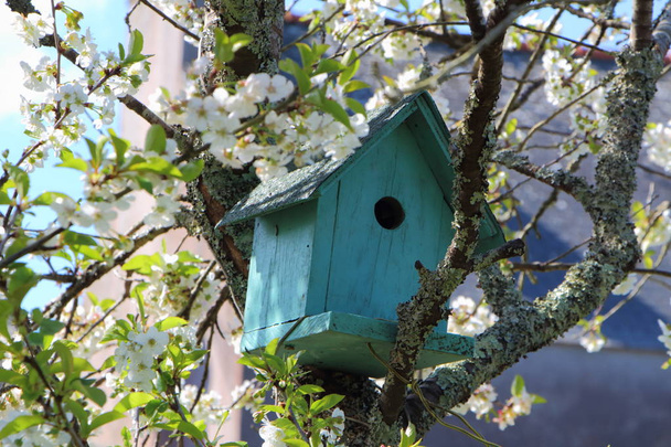 Πράσινο birdhouse σε ένα δέντρο - Φωτογραφία, εικόνα
