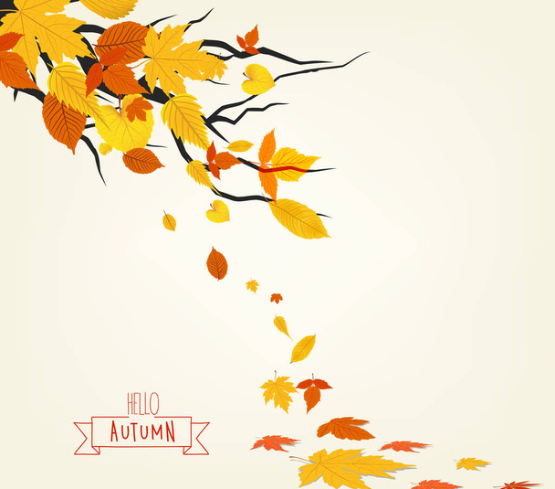 Vector Illustration of an Autumn Design - Vettoriali, immagini