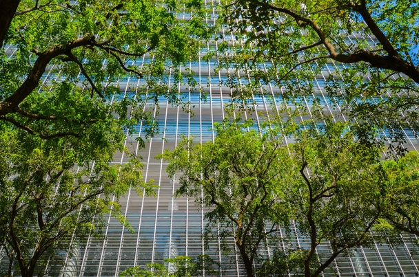 Centro de la ciudad de Singapur
 - Foto, Imagen