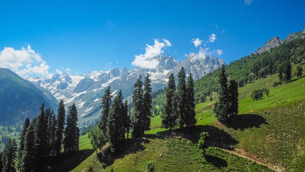Beautiful mountain landscape of Sonamarg, Kashmir state, India - Photo, image