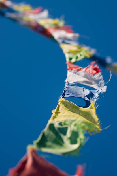 Colorful Tibetan Buddhist prayer flags waving in the wind on blu - Photo, Image