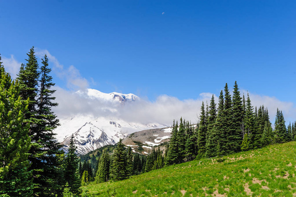 The Slopes of Mount Raineer - Photo, Image