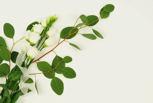green eucalyptus branch with flowers - Zdjęcie, obraz