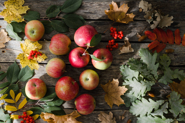 Red apples scattered on the old wooden table with autumn leaves - Fotoğraf, Görsel