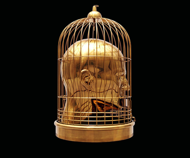 Head in Cage - Photo, Image